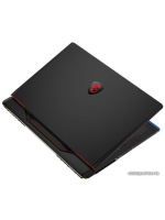             Игровой ноутбук MSI Raider GE68HX 13VG-205RU        