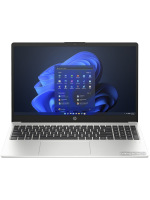             Ноутбук HP ProBook 250 G10 8D464ES        