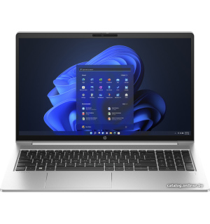             Ноутбук HP ProBook 450 G10 816N8EA        