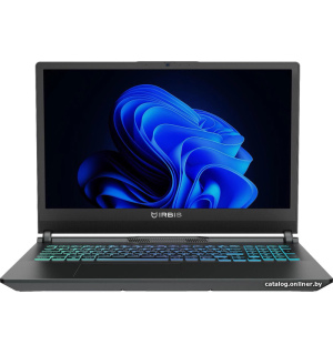             Игровой ноутбук IRBIS 15NBC1011        