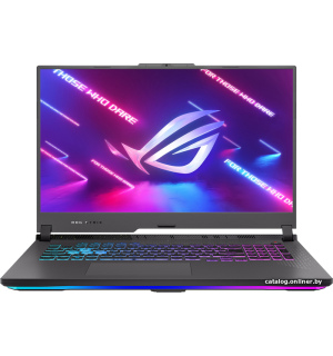             Игровой ноутбук ASUS ROG Strix G17 2023 G713PU-LL043        