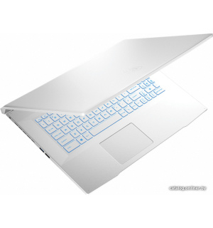             Игровой ноутбук MSI Sword 17 A11UD-810XRU        